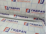 Рейлинг левый Audi Q7 (4L) 4L0860021N2ZZ