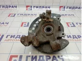 Кулак поворотный задний левый Audi Q7 (4L) 7L8505435