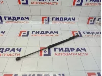 Амортизатор двери багажника Audi A3 (8P) 8P4827552B