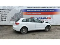 Audi A3 (8P)