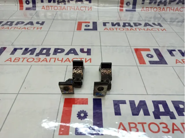 Петли двери передней левой Audi A4