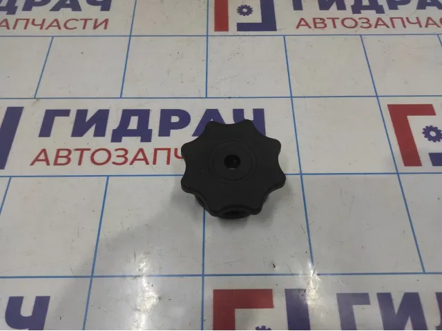 Болт крепления запасного колеса Audi A6 (C7) 4G0803899