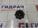 Болт крепления запасного колеса Audi A6 (C7) 4G0803899