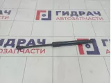 Амортизатор капота Audi Q5 (8R) 8R0823359A