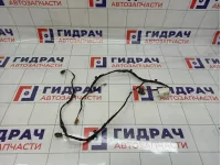 Проводка двери задней правой Audi Q5 (8R) 8R0971693B