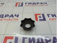 Болт крепления запасного колеса Audi Q5 (8R) 1K0803899E