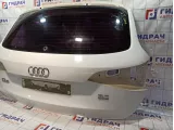 Дверь багажника Audi Q5 (8R) 8R0827023C