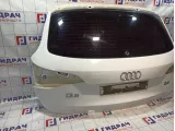 Дверь багажника Audi Q5 (8R) 8R0827023C