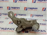 Кулак поворотный задний левый Audi Q5 (8R) 8R0505431C