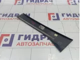 Накладка двери задней правой Audi Q7 (4L) 4L0839904Y9B