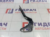 Петля капота правая Audi Q7 (4L) 4L0823302