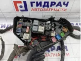 Проводка подкапотная Audi Q7 (4L)