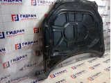 Капот Audi Q7 (4L) 4L0823029A