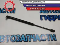 Амортизатор двери багажника BMW 5 GT 2010 51247200516 Отличное состояние