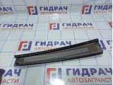 Накладка двери задней левой BMW X5 (E53) 51347038361