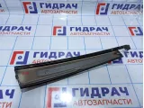 Накладка двери задней правой BMW X5 (E53) 51347038362