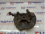 Кулак поворотный передний левый BMW X5 (E53) 31216761575