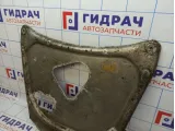 Защита двигателя BMW X5 (E53) 31106761790