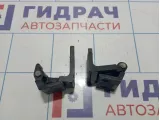 Петли двери задней левой BMW X5 (E53) 41528269845