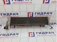 Радиатор масляный BMW X5 (E53) 17217543348