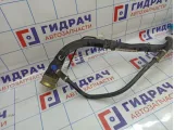 Горловина топливного бака BMW X5 (E53) 16117175082