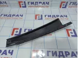 Накладка двери задней левой наружная BMW X5 (E70) 51357207835