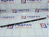 Накладка двери задней левой наружная BMW X5 (E70) 51357209143