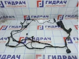 Проводка двери передней правой BMW X5 (E70) 61126977070