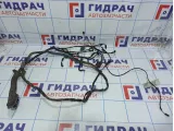 Проводка двери задней правой BMW X5 (E70) 61129116978