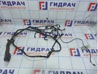 Проводка двери задней правой BMW X5 (E70) 61129116978