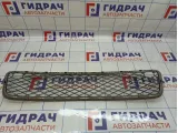 Решетка в бампер центральная BMW X5 (E70) 51117163957