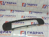 Решетка в бампер центральная BMW X5 (E70) 51117171347