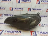 Фара левая BMW X5 (E70) 63117289001