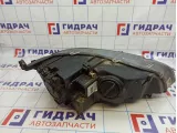 Фара левая BMW X5 (E70) 63117289001