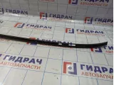 Молдинг крыши левый BMW X5 (E70) 51137250391