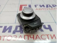 Кнопка многофункциональная BMW X5 (E70) 65829122024