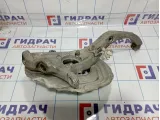 Кулак поворотный передний левый BMW X5 (E70) 31216869869