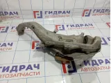 Кулак поворотный передний левый BMW X5 (E70) 31216869869