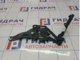 Петля капота правая BMW X5 (E70) 41007198618