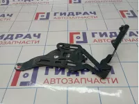 Петля капота правая BMW X5 (E70) 41007198618