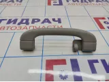 Ручка внутренняя потолочная задняя BMW X5 (E70) 51166977693