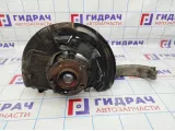 Кулак поворотный передний левый BMW X5 (E70) 31216773783