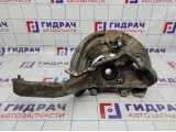 Кулак поворотный передний левый BMW X5 (E70) 31216773783