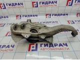 Кулак поворотный передний правый BMW X5 (E70) 31216773784