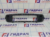 Решетка бампера центральная BMW X5 (E70) 511110503410