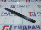 Накладка двери задней левой BMW X5 (E70) 51357136957