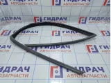 Уплотнитель стекла переднего левого BMW X5 (E70) 51337305627