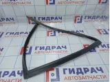 Уплотнитель стекла заднего левого BMW X5 (E70) 51357305631