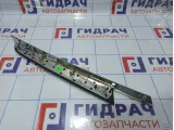 Накладка обшивки двери задней левой BMW X5 (E70) 51427137203