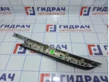 Накладка обшивки двери задней правой BMW X5 (E70) 51427137204